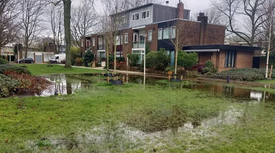 Arthur Meerwaldtplantsoen - foto 2